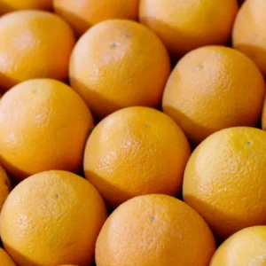 Oranges Salustiana
