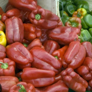 Poivrons Rouges