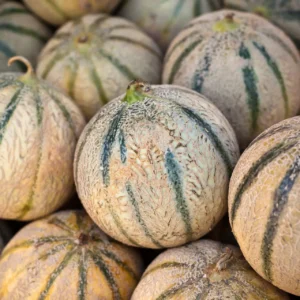 Melons Galia